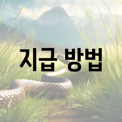 지급 방법