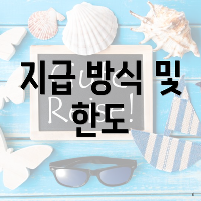 지급 방식 및 한도