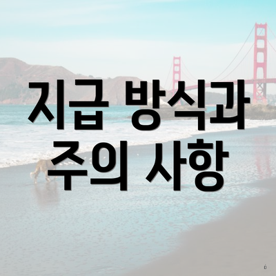 지급 방식과 주의 사항