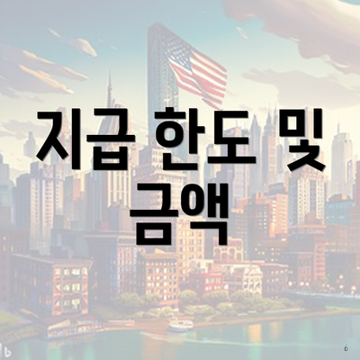 지급 한도 및 금액