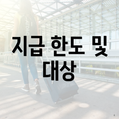 지급 한도 및 대상