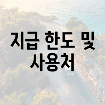지급 한도 및 사용처