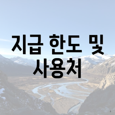 지급 한도 및 사용처