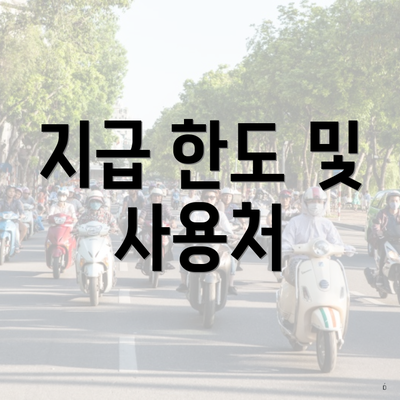 지급 한도 및 사용처