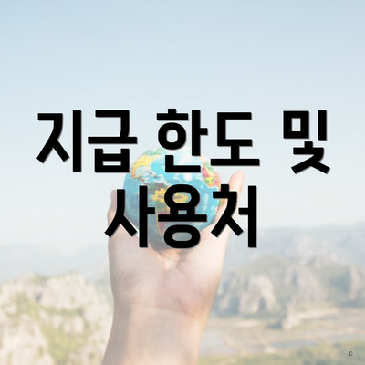 지급 한도 및 사용처