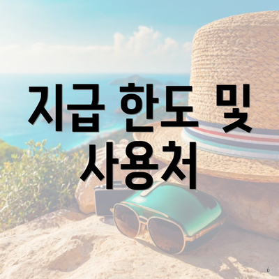 지급 한도 및 사용처