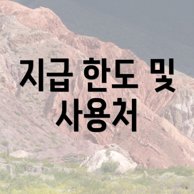 지급 한도 및 사용처
