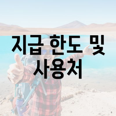 지급 한도 및 사용처