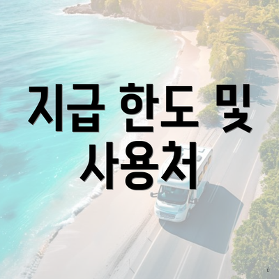 지급 한도 및 사용처