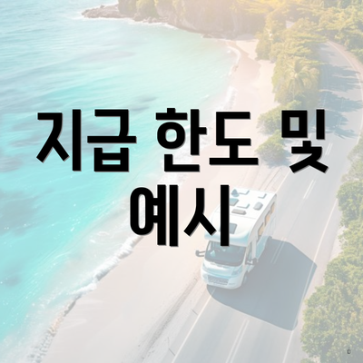지급 한도 및 예시