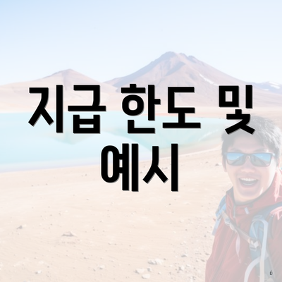 지급 한도 및 예시