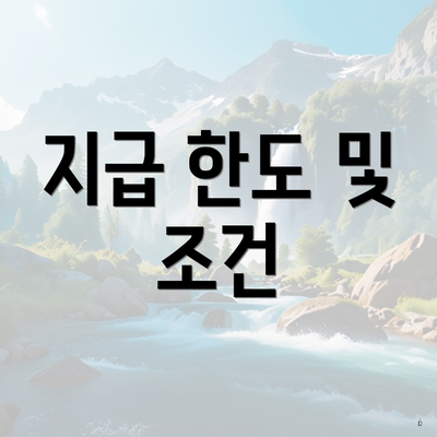 지급 한도 및 조건