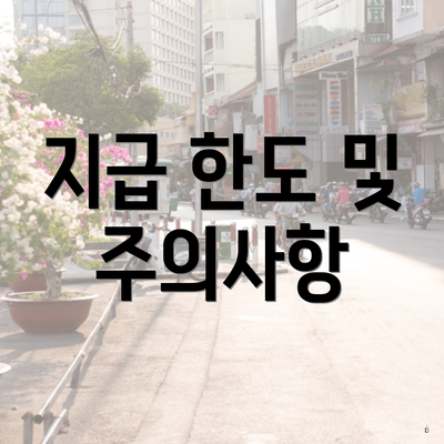 지급 한도 및 주의사항