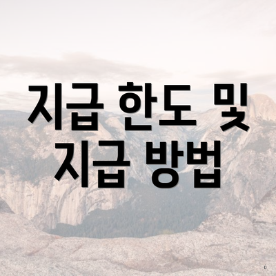 지급 한도 및 지급 방법