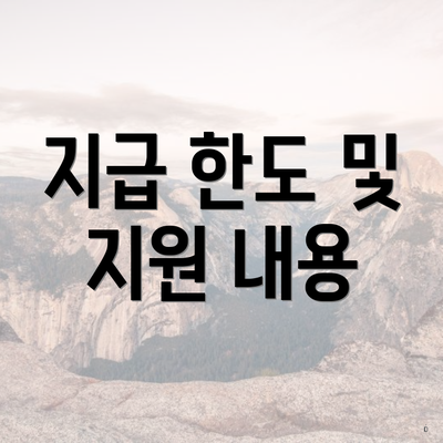 지급 한도 및 지원 내용