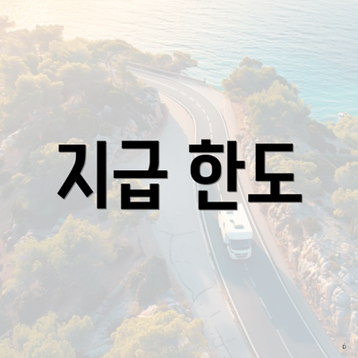 지급 한도