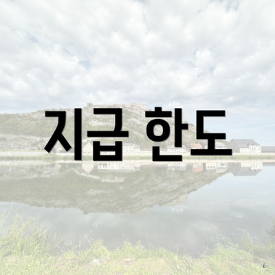 지급 한도