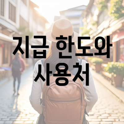 지급 한도와 사용처