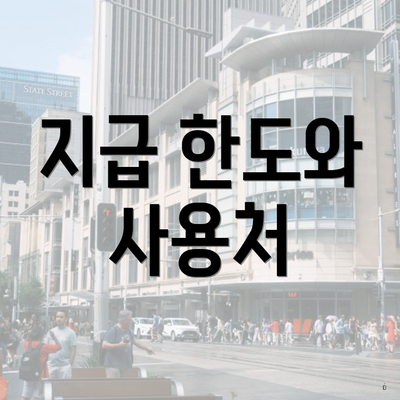 지급 한도와 사용처