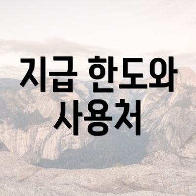 지급 한도와 사용처
