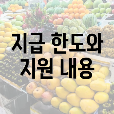 지급 한도와 지원 내용