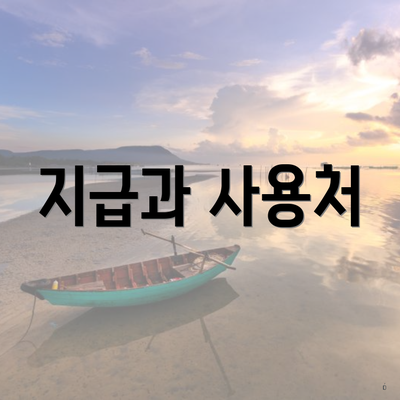 지급과 사용처
