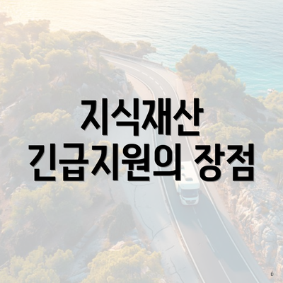 지식재산 긴급지원의 장점