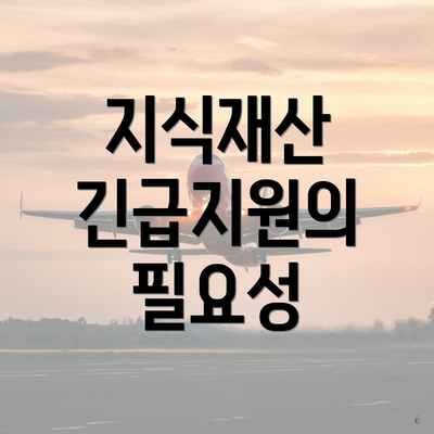 지식재산 긴급지원의 필요성