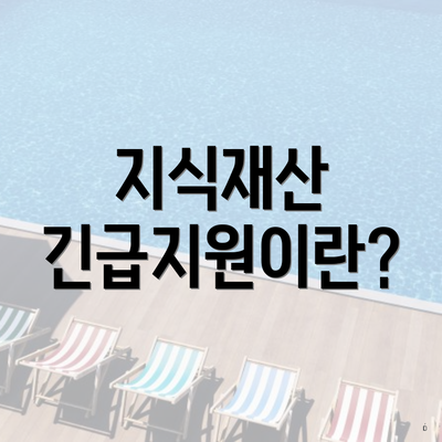 지식재산 긴급지원이란?