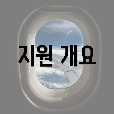 지원 개요