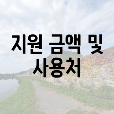 지원 금액 및 사용처