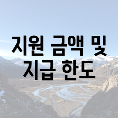 지원 금액 및 지급 한도