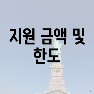 지원 금액 및 한도