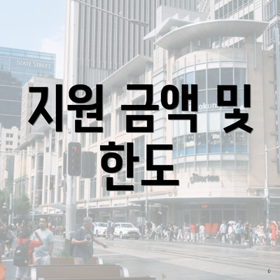 지원 금액 및 한도