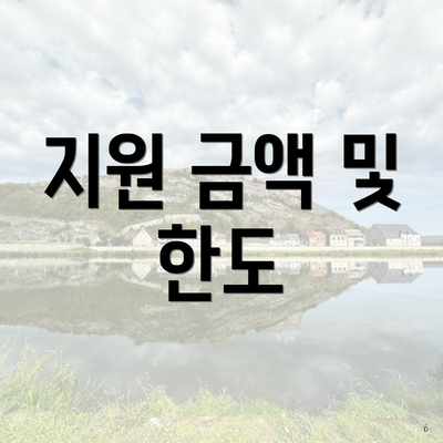 지원 금액 및 한도