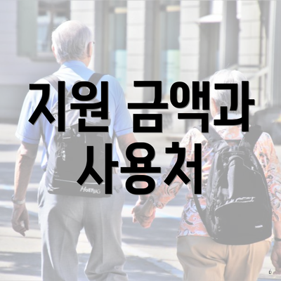 지원 금액과 사용처