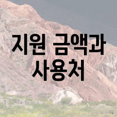 지원 금액과 사용처