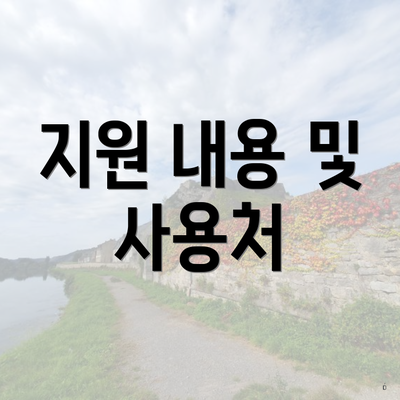 지원 내용 및 사용처