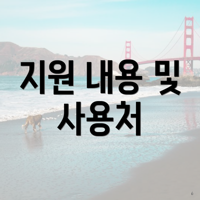 지원 내용 및 사용처