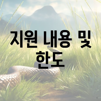 지원 내용 및 한도