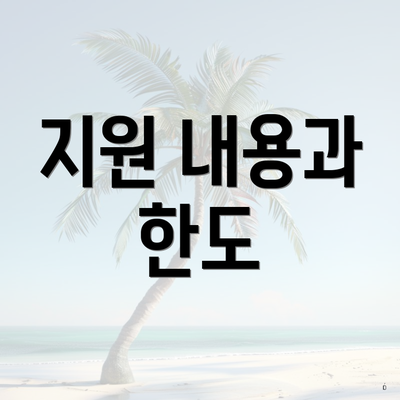 지원 내용과 한도