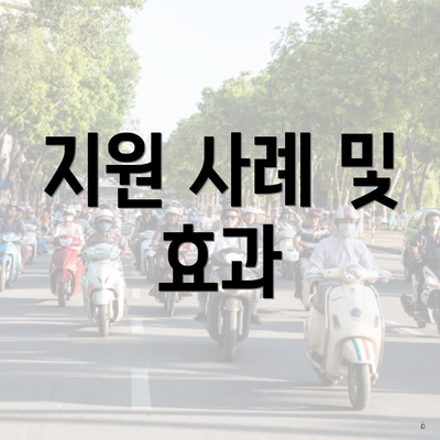 지원 사례 및 효과