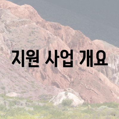 지원 사업 개요