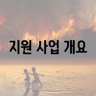 지원 사업 개요