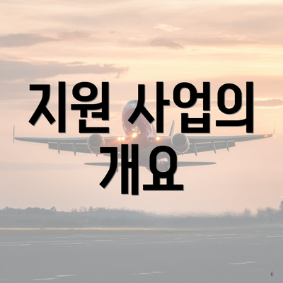 지원 사업의 개요