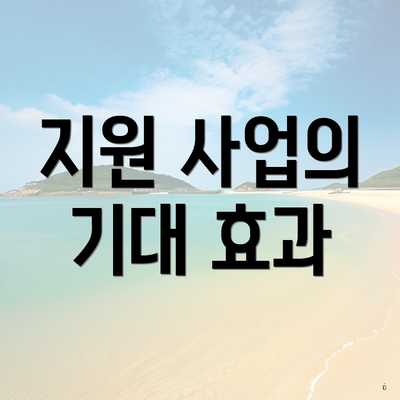 지원 사업의 기대 효과