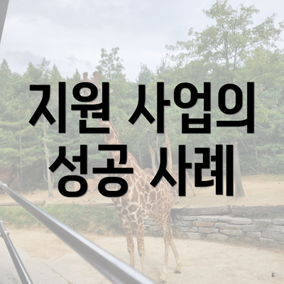 지원 사업의 성공 사례