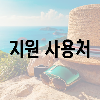 지원 사용처