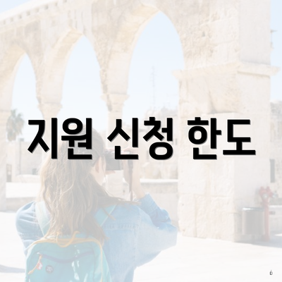 지원 신청 한도