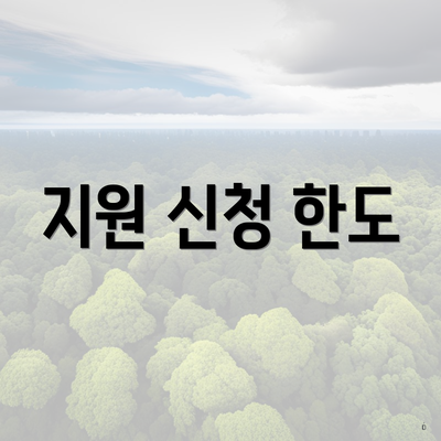 지원 신청 한도